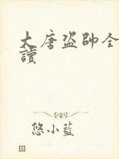 大唐盗帅全文阅读