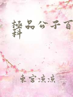 极品公子百度百科