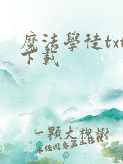 魔法学徒txt下载