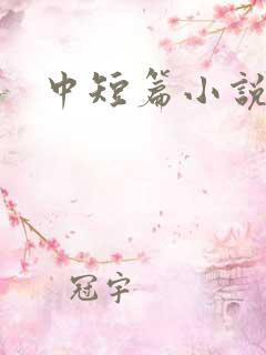 中短篇小说集