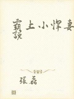 霸上小悍妻 小说