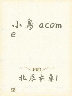 小鸟 acome