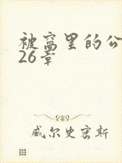 被窝里的公憩第26章