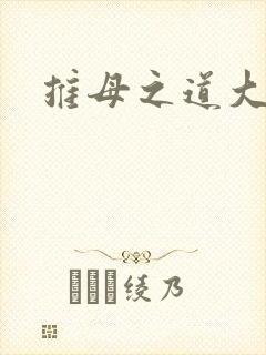 推母之道大结局