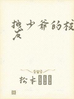 拽少爷的校花女友