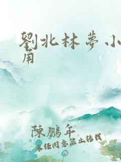 刘北林梦小说主角