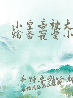 小皇帝被大臣们轮番宠爱小说