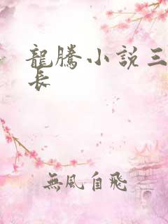 龙腾小说三宝局长