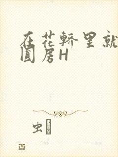 在花轿里就开始圆房H