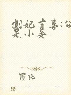 侧妃有喜:公主是小妾