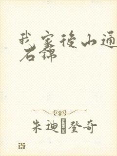 我家后山通仙界石锦