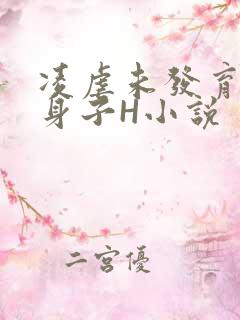 凌虐未发育的小身子H小说