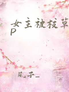 女主被校草们NP