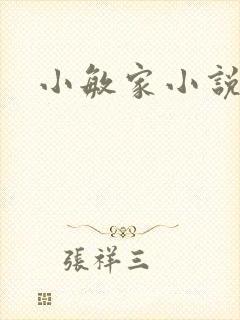 小敏家小说