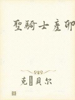 圣骑士产卵记