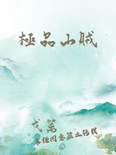 极品山贼
