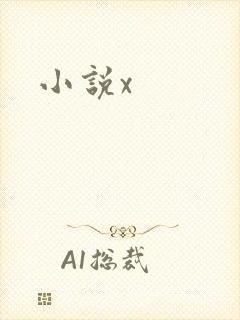 小说x