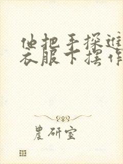 他把手探进我的衣服下摆作文