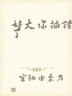 好大你插错地方了