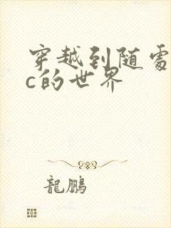 穿越到随处可以c的世界