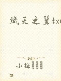 炽天之翼txt
