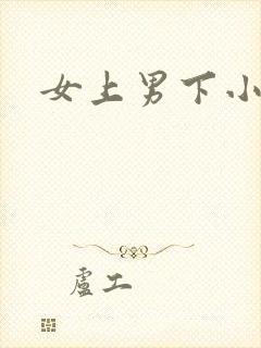 女上男下小说