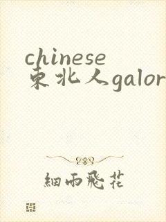 chinese东北人galore