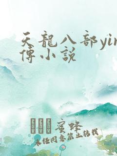 天龙八部yin传小说