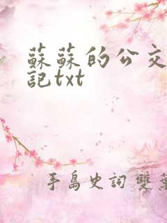 苏苏的公交车日记txt