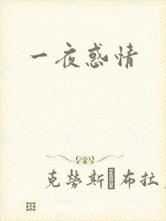 一夜惑情