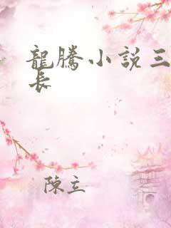 龙腾小说三宝局长