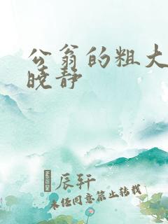 公翁的粗大放进晓静