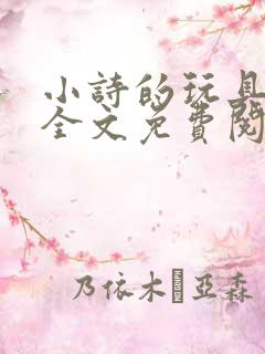 小诗的玩具日记全文免费阅读