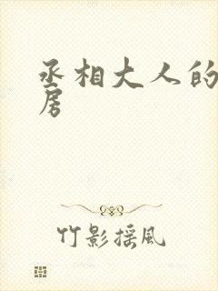 丞相大人的小通房