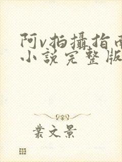 阿v拍摄指南说小说完整版