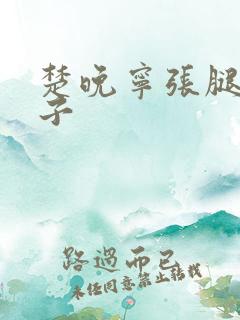 楚晚宁张腿放棋子