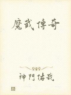 魔武传奇