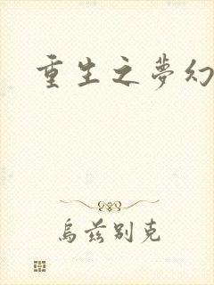 重生之梦幻年代