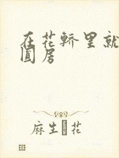 在花轿里就开始圆房