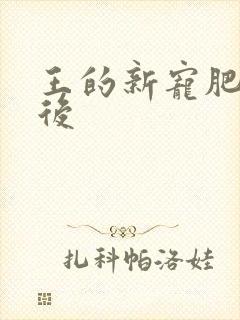 王的新宠肥婆皇后
