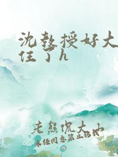 沈教授好大含不住了h