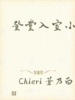 登堂入室小说