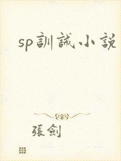 sp训诫小说