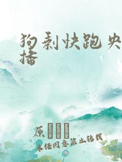 狗剩快跑央八首播