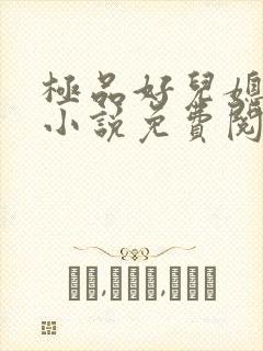 极品好儿媳苏灿小说免费阅读