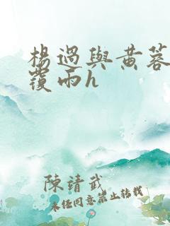 杨过与黄蓉翻云覆雨h