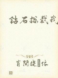 钻石总裁我已婚