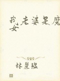 我老婆是魔法少女