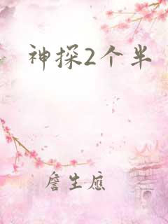 神探2个半