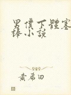 男仆下体塞震动棒小说